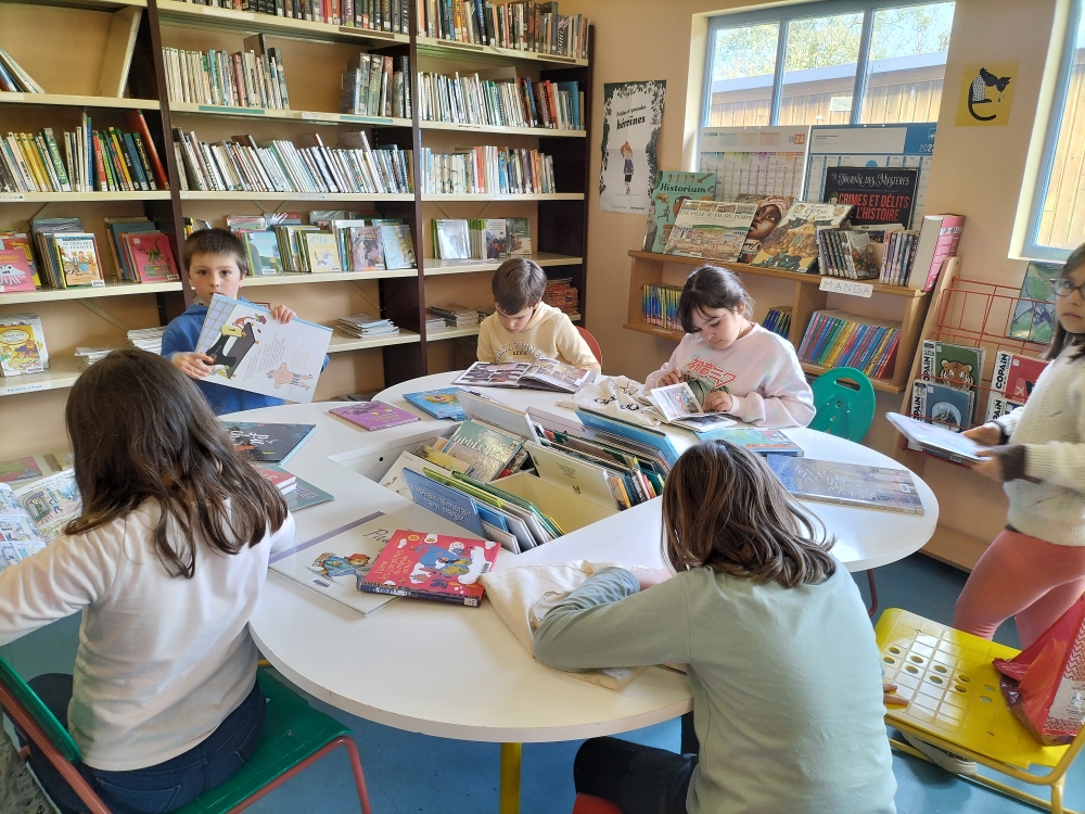 Photo article bibliothèque